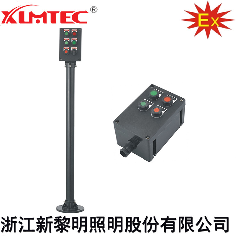 LCZ8030ϵ�з�������������(IIB��IIC��Ex tD)